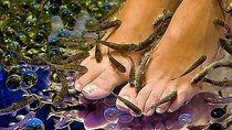 20-Minutes Natural Pedicure with Exotic Fish