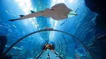 Modern Dubai with Burj Khalifa and Dubai Aquarium Visit