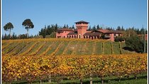 Private Tour: Winter Wine and Scenic Delights Tour from Picton