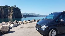 Transfer from Naples to Positano with 2 hours Private Tour in Herculaneum