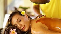 Ayurveda Day Package