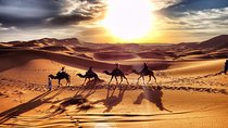 Marrakech to Zagora Desert tour