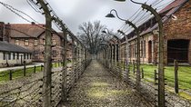 Exclusive Small Group Auschwitz-Birkenau Guided Tour from Krakow