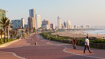 Durban Shore Excursion: Private Small Group Durban City Tour