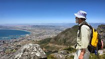Table Mountain Hike from Cape Town