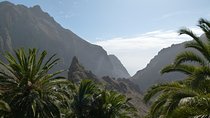 Tenerife Highlights Full-Day Tour