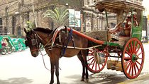 Private Half-Day Shore Excursion Old Manila