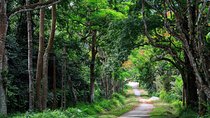 From Hanoi: Cuc Phuong National Park Day Trip by Private Car