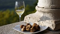 Flavours of Istria Tasting Experience from Koper