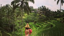 Private Tour: Balinese Culture and Scenery (visit ubud area)