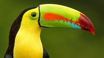 13 days program - Best Spots of Costa Rica