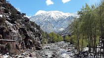 Ourika Valley including Camel Ride Lunch and Guided Hike Day Tour from Marrakech