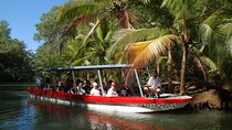 Damas Island Mangrove Boat Tour from Jaco