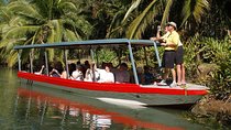 Damas Island Mangrove Boat Tour from Manuel Antonio