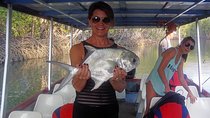 Damas Island Mangrove Fishing Tour from Manuel Antonio