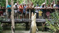 Hartley’s Crocodile Adventures Half-Day Tour from Cairns