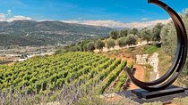 Provence Organic Wine Small Group Half Day Tour with Tastings from Nice