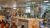 Secrets of winemaking and perfumery on the Côte d'Azur Cannes Shore Excursion