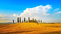 Tuscany Private Tour with Wine and Cheese Tasting from Florence 