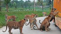 Badaling Wildlife World Private Tour from Beijing