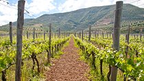 Heraklion Wine Roads