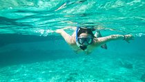 Cades Reef Snorkel Cruise from St. John's Antigua