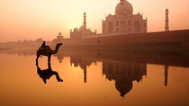 Private Taj Mahal Sunrise and Agra Fort Tour From Delhi - All Inclusive