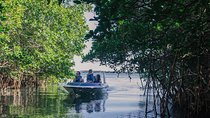 Cancun Mangrove Channel Adventure with Transportation 