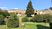  Amalfi Coast and Pompeii day tour