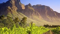 Private Cape Winelands Guided Full Day Tour from Cape Town