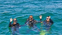 Try Dives - Discover Scuba Diving in Albufeira