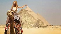 Cairo Stopover Tour to Giza Pyramids Egyptian Museum Citadel & Bazaar