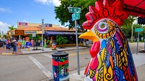 Miami City and Boat Tour Little Havana Included Plus FREE Bike Rental in SoBe