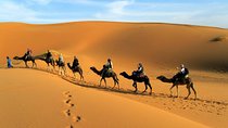 2 Days Zagora Desert Tour from Marrakech, Including Camel Trek and Desert Camp