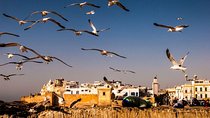 Private Full Day Tour to Essaouira Mogador from Marrakesh