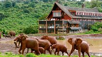 6-Day Aberdare, Lake Nakuru and Masai Mara Safari from Nairobi