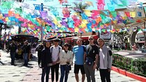 Intro to Mexico Walking Tour: Tijuana Day Trip from San Diego
