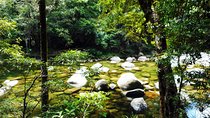 Cairns Daintree Rainforest and Cape Tribulation 2-Day Tour