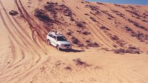 Desert Safari to Wahiba Sands and Wadi Bani Khalid from Muscat