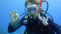 Diving for beginners by boat from Puerto Colon