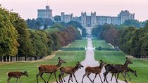 Private One Way or Round Trip Transfer from Heathrow Airport to Windsor