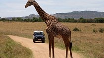 3-Day Sweetwaters: Ol Pejeta Conservancy Safari from Nairobi