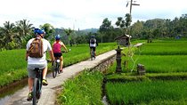 Electric Cycling Tour of Ubud with Free Hotel Transfer and Lunch