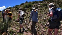 Trekking and Rappel to Quebrada del Salto Fall, from Mendoza