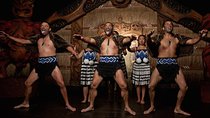Auckland Māori Culture Experience - Private Tour