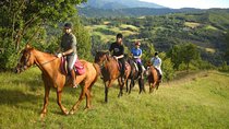 Private Horseback Riding Tour on Etna Area + Traditional Lunch