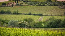 Private tour Brunello di Montalcino and Nobile di Montepulciano wine experience in Tuscany