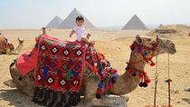 Layover tour in Cairo Visit Giza Pyramids and Sakkara and Dahshour and memphis