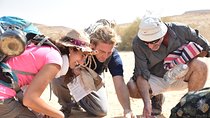 GoKedem 5-Day Private All-Inclusive Cross-Israel Adventure