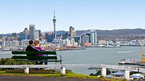 Auckland City Small-Group Morning Discovery Tour